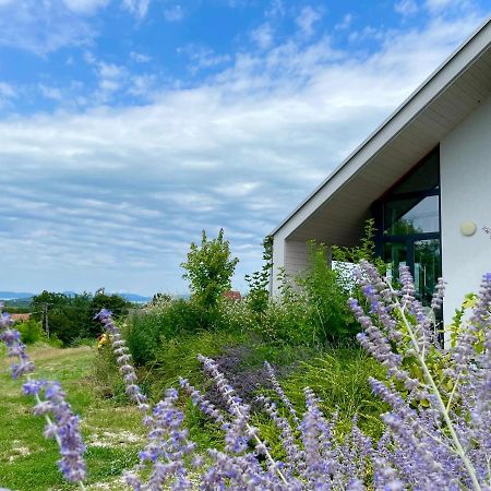 Wine & Space Lodge At Lake Balaton Балатонлеле Екстериор снимка