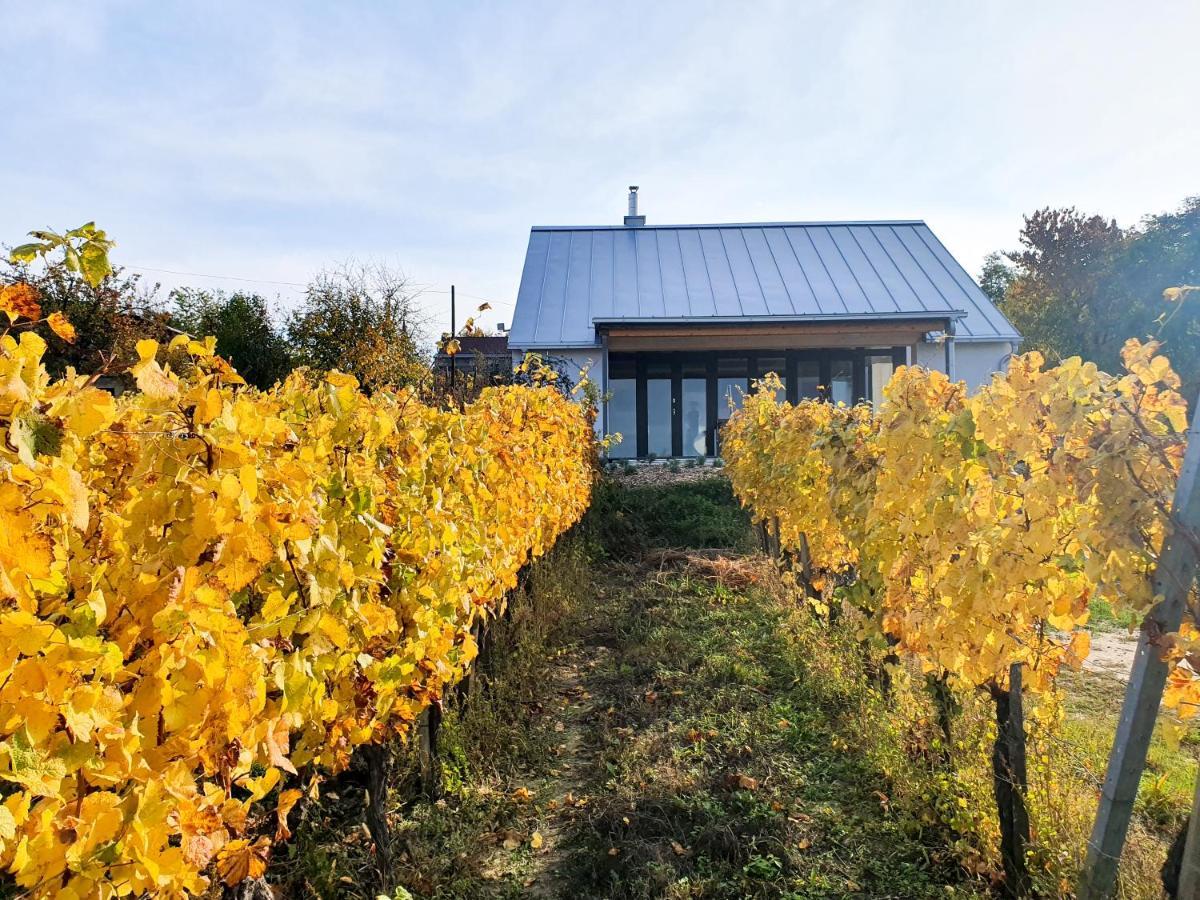 Wine & Space Lodge At Lake Balaton Балатонлеле Екстериор снимка