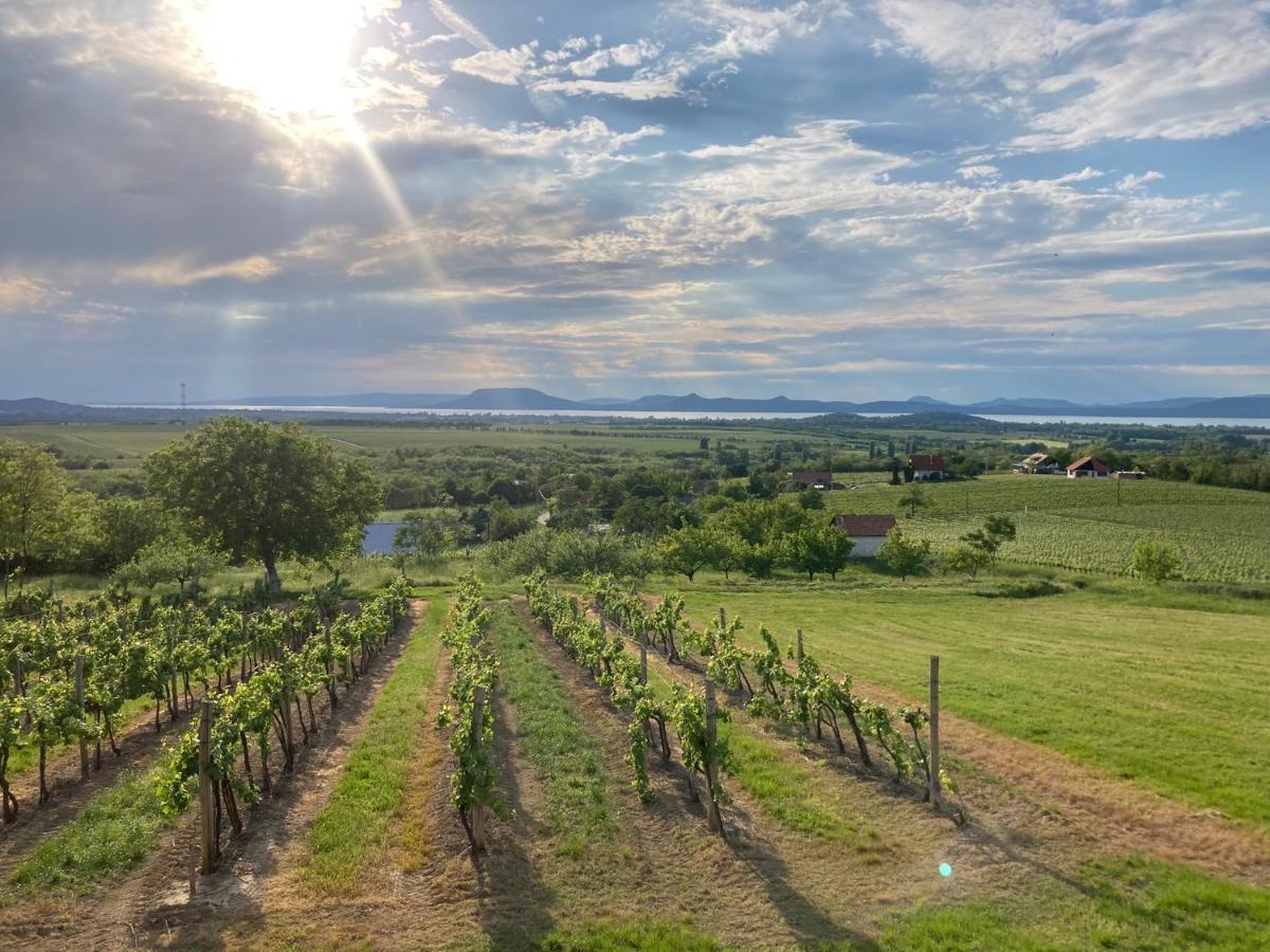 Wine & Space Lodge At Lake Balaton Балатонлеле Екстериор снимка